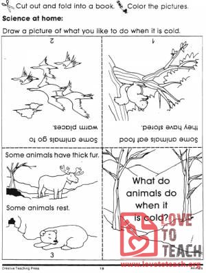 Animals in Winter Book