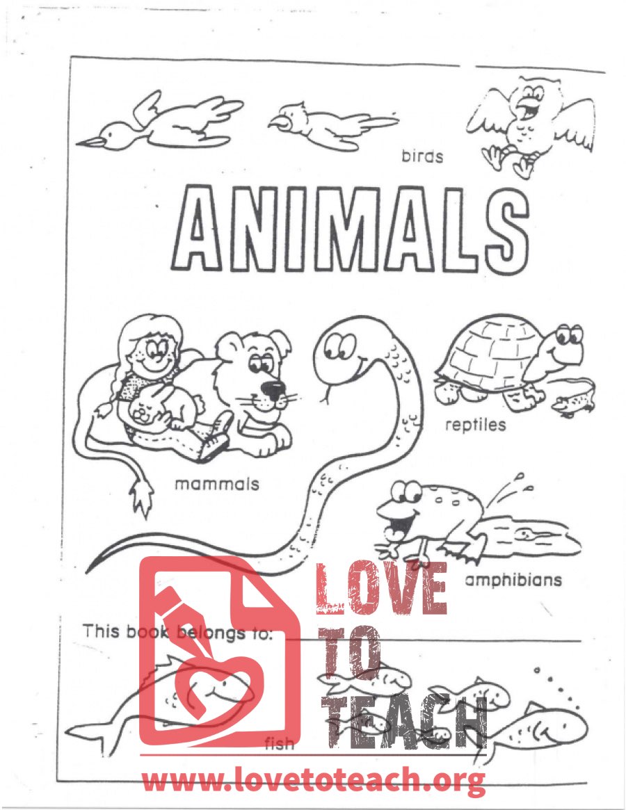 Animals - A Workbook of Fish, Reptiles, Amphibians, Birds, and Mammals
