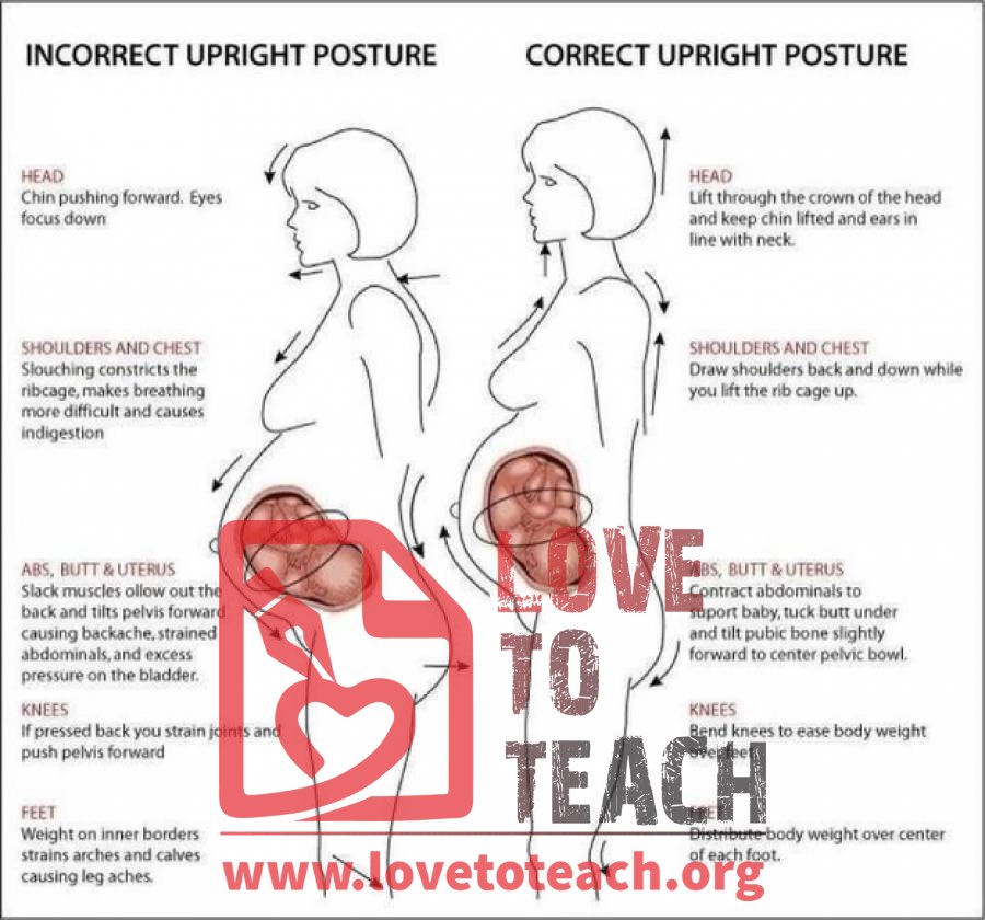 Pregnancy Posture Practice