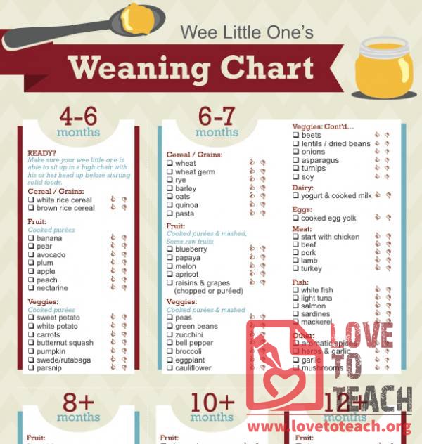 Baby Weaning Chart