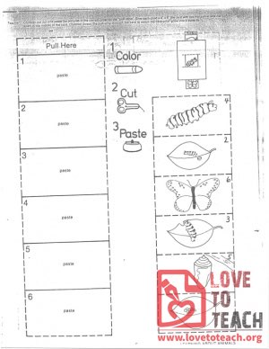 Life Cycle of a Butterfly (craft)