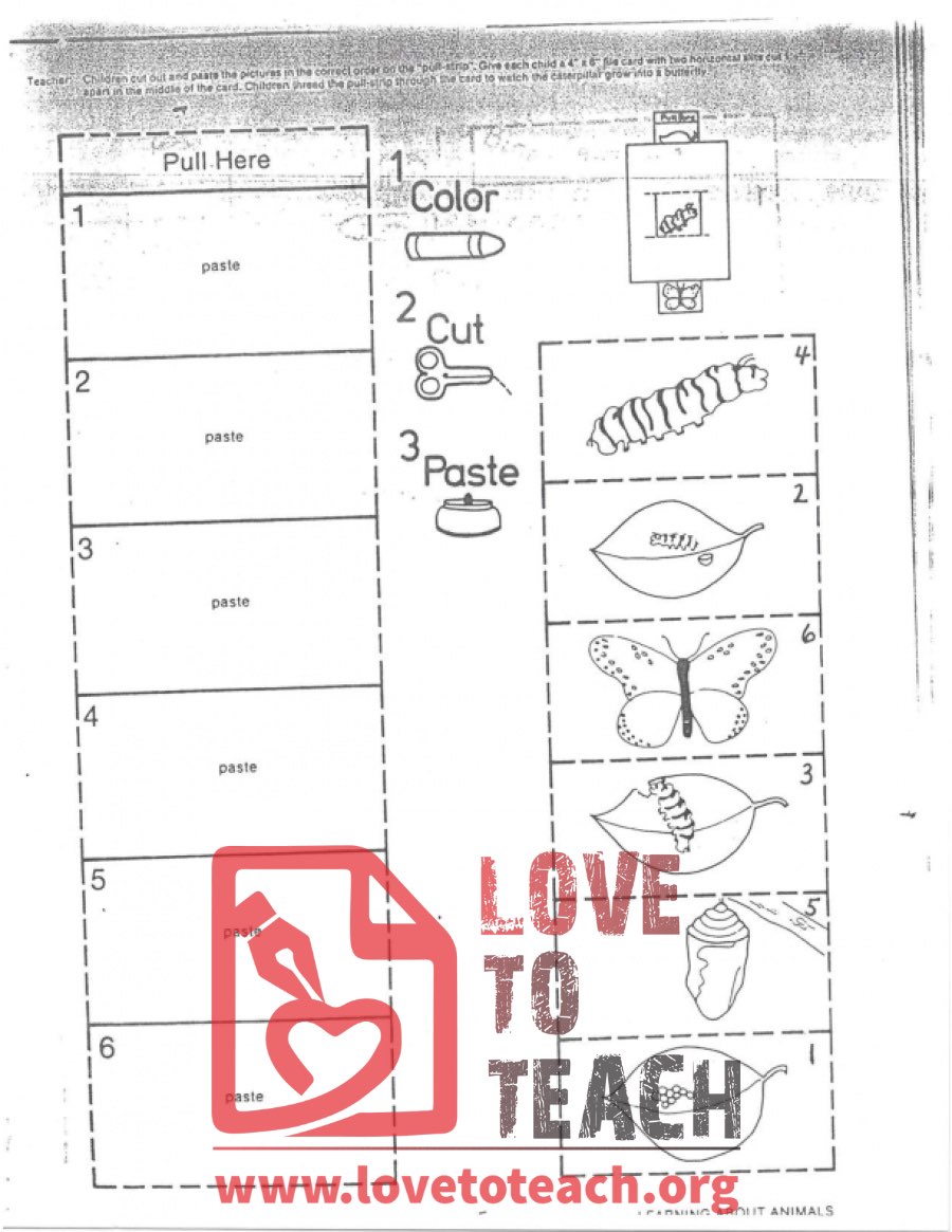 Life Cycle of a Butterfly (craft)