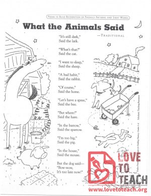 What the Animals Said