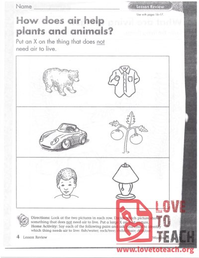 How does air help plants and animals?