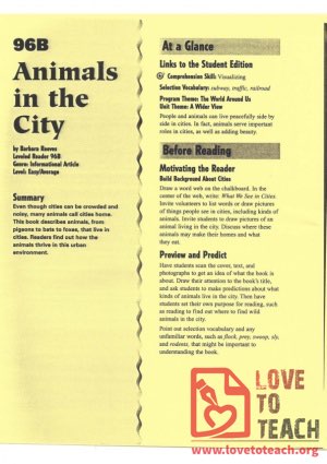 Animals in the City - Reading Guide