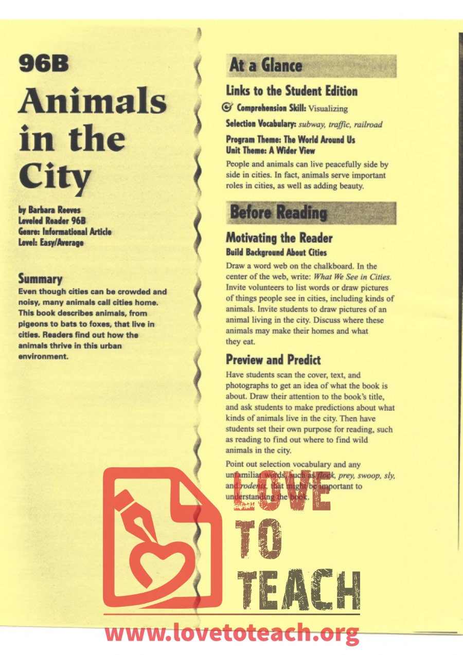 Animals in the City - Reading Guide