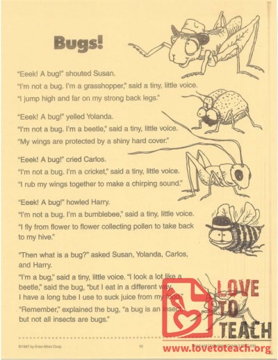 Bugs! - Read and Understand Grade 2