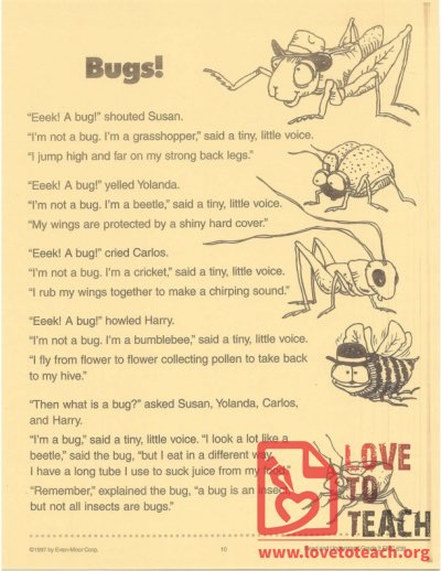 Bugs! - Read and Understand Grade 2