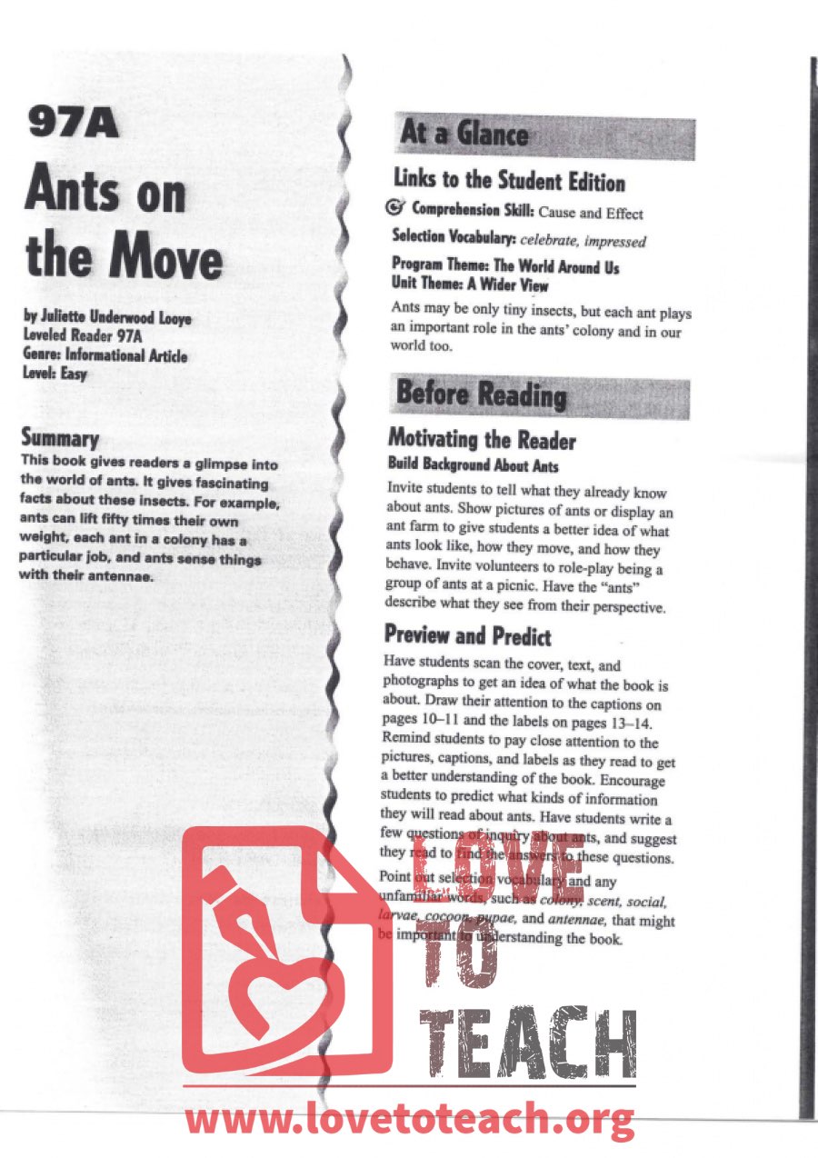 Ants on the Move - Reading Guide