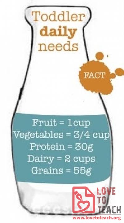 Toddler&#039;s Daily Nutritional Needs