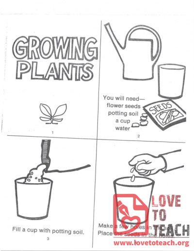 Growing Plants