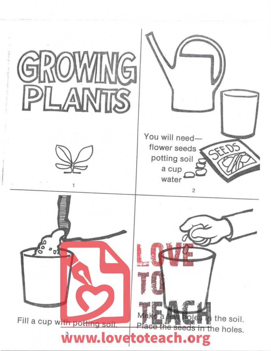 Growing Plants