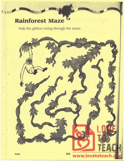 Rainforest Maze