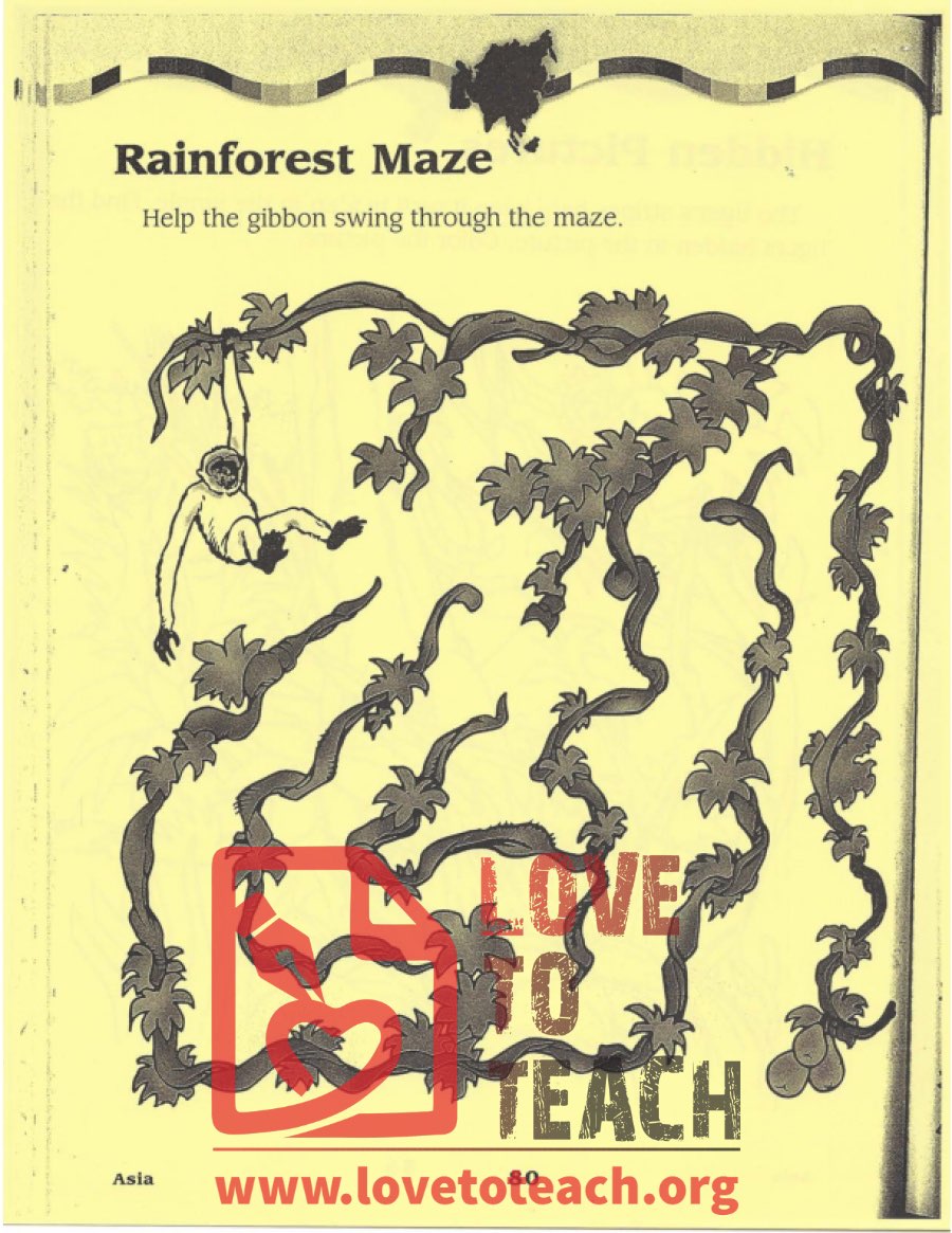 Rainforest Maze