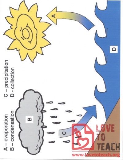 The Water Cycle