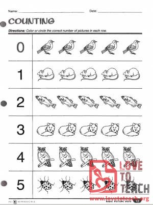 Picture Math - Counting Bundle