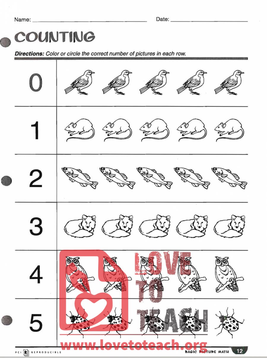 Picture Math - Counting Bundle