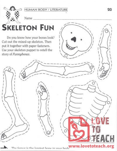 Skeleton Fun