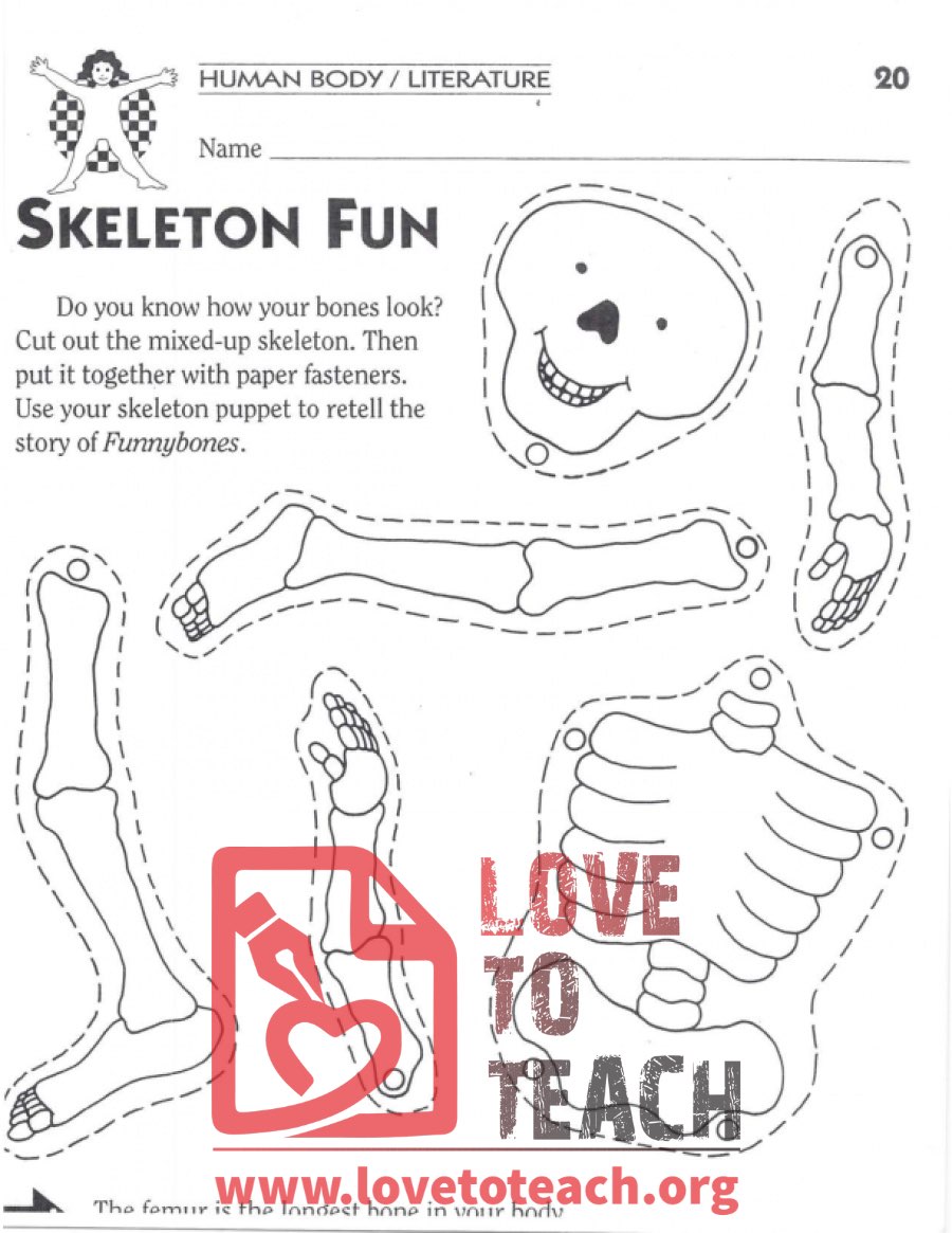 Skeleton Fun