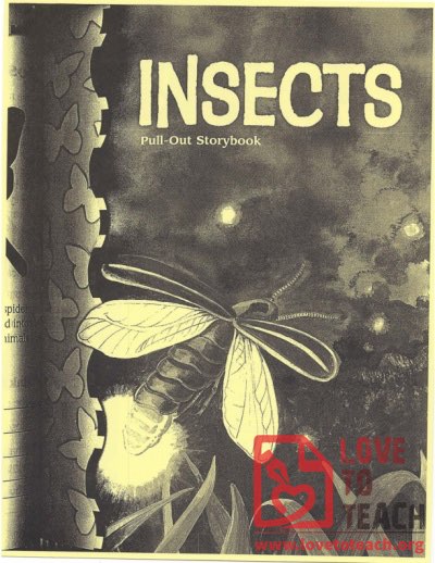 Insects - Pull-Out Storybook