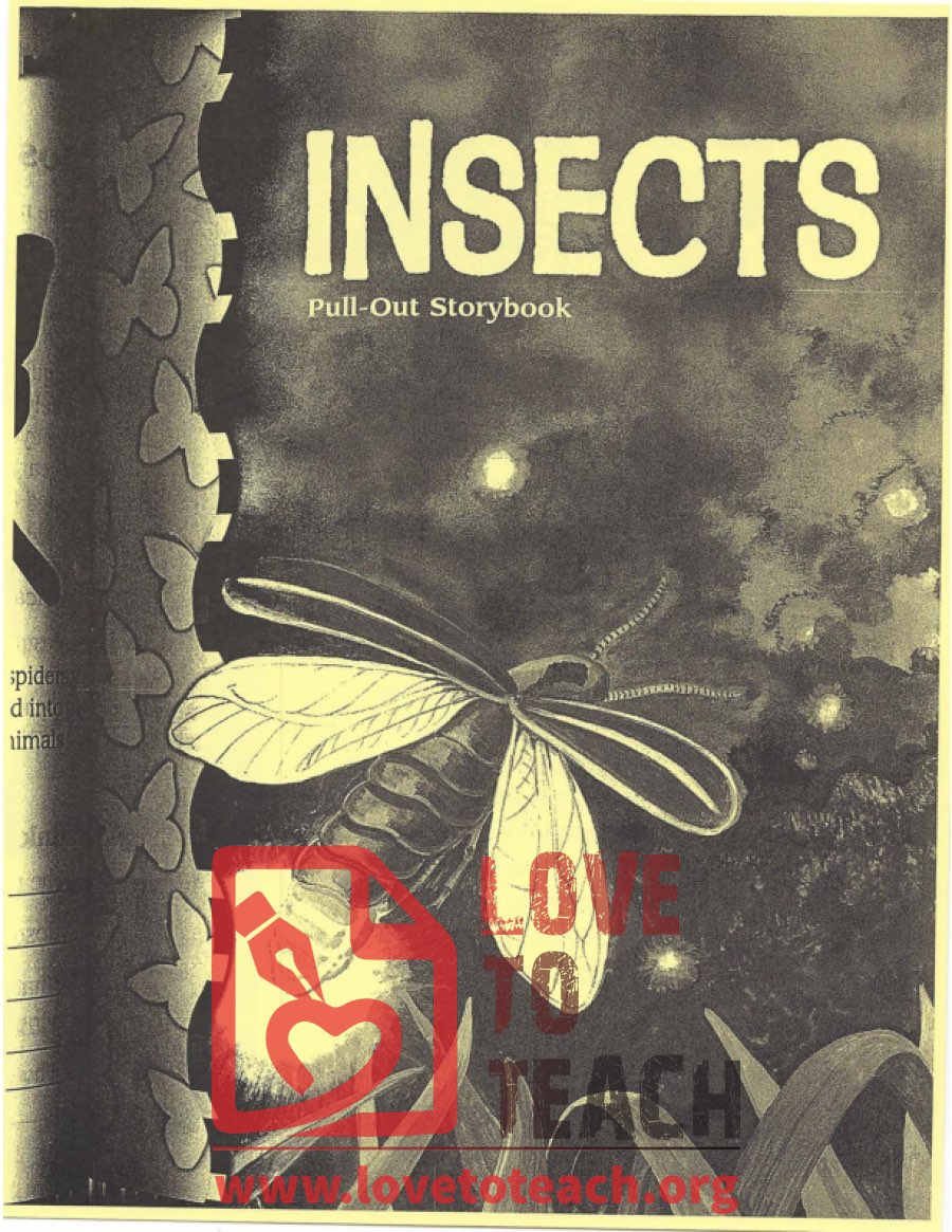 Insects - Pull-Out Storybook