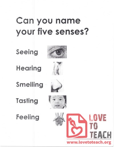 Can you name your five senses?