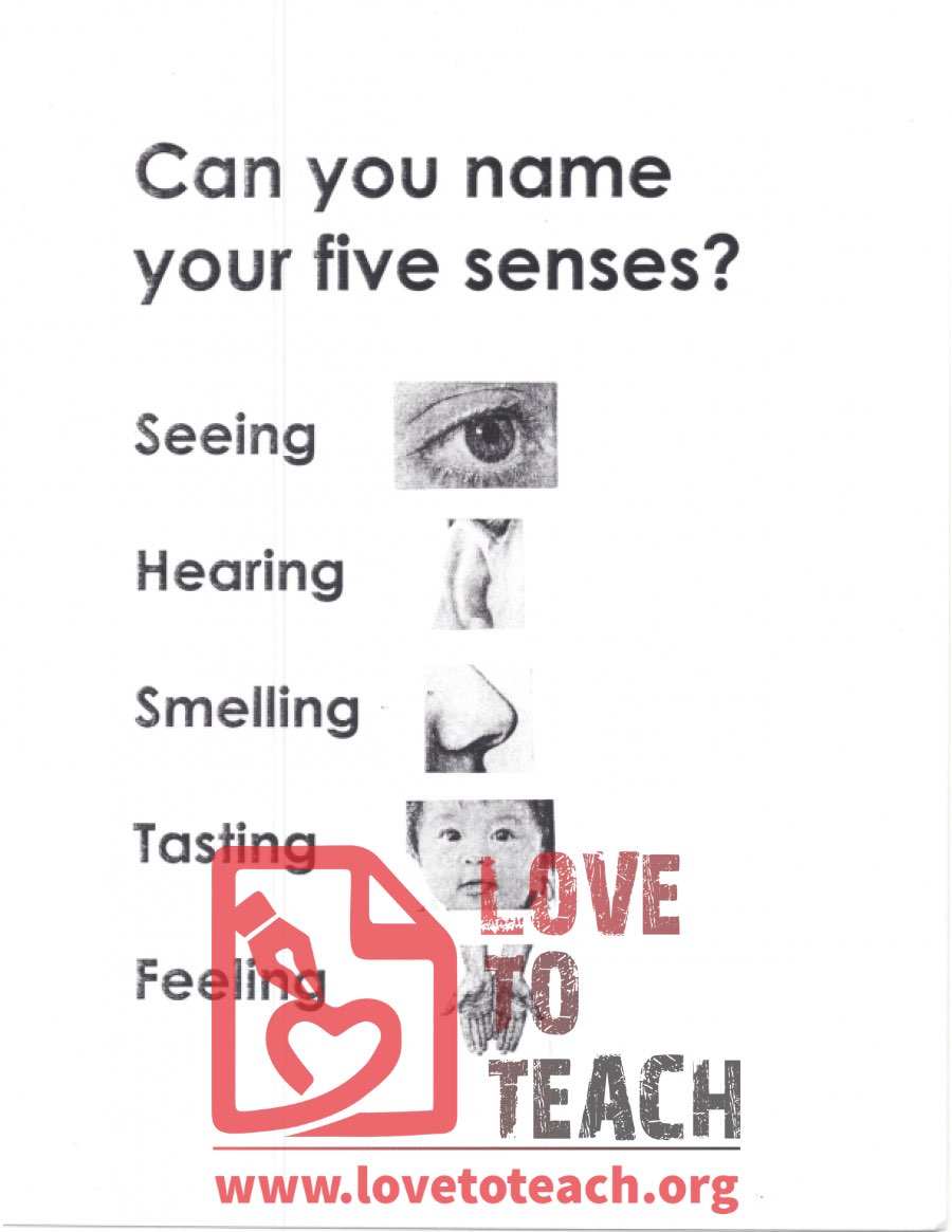 Can you name your five senses?