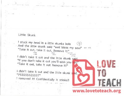 Little Skunk