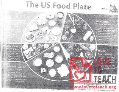 The US Food Plate