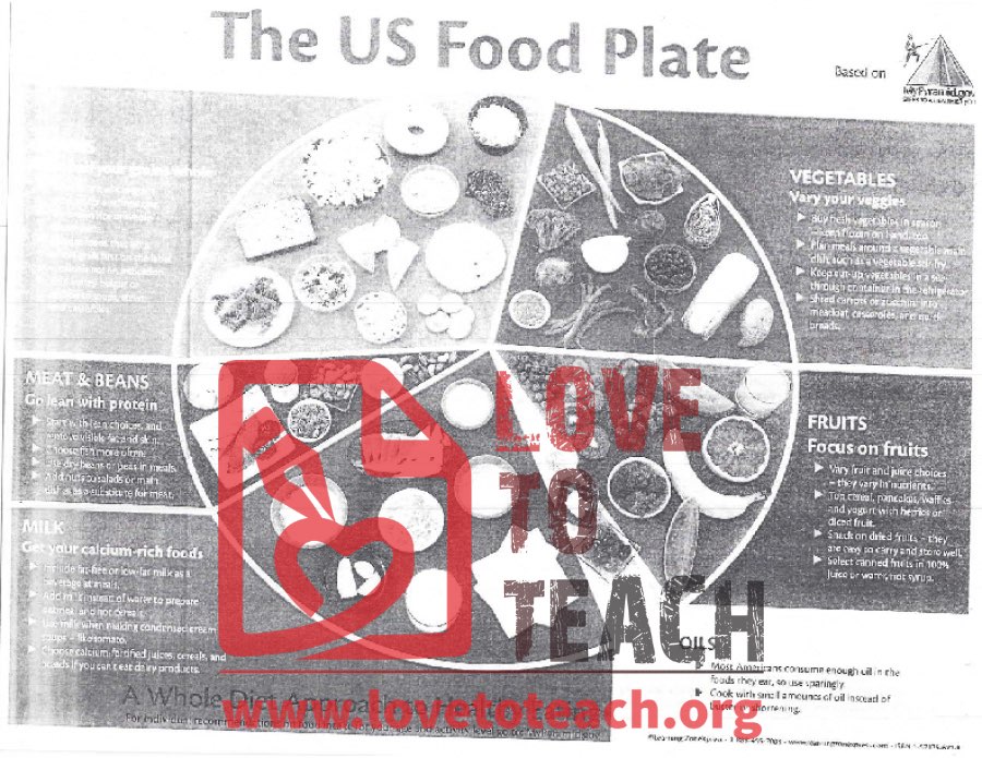 The US Food Plate