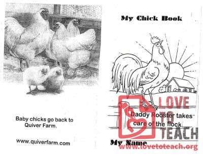 My Chick Book
