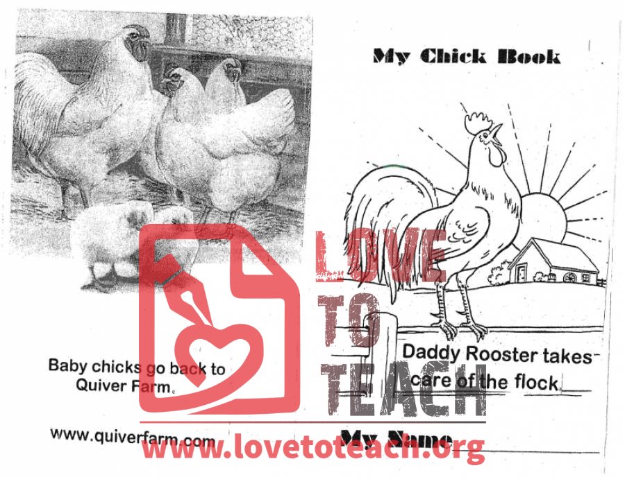 My Chick Book