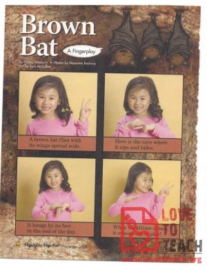 Brown Bat: A Fingerplay