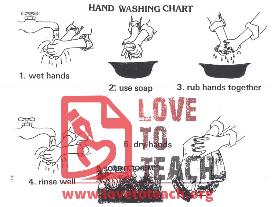 Hand Washing Chart