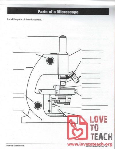 parts of a microscope