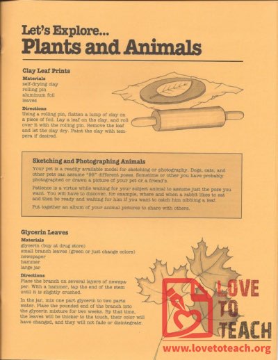 Let&#039;s Explore - Plants and Animals