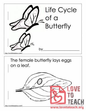 Life Cycle of a Butterfly Book